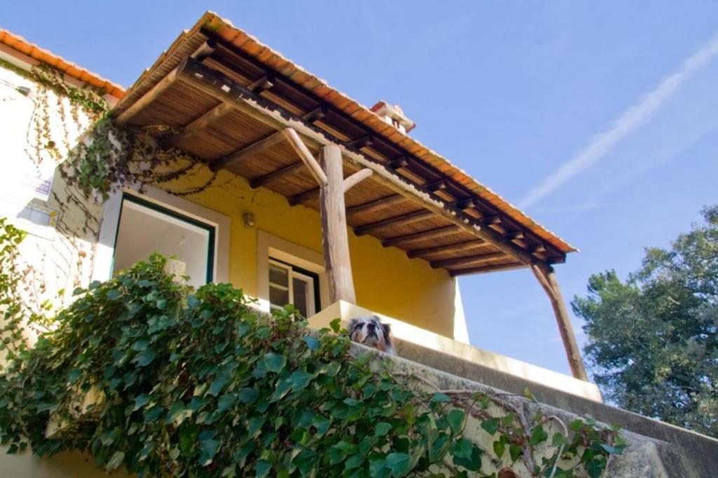 Вілла Casa Da Ruiva Serra Екстер'єр фото