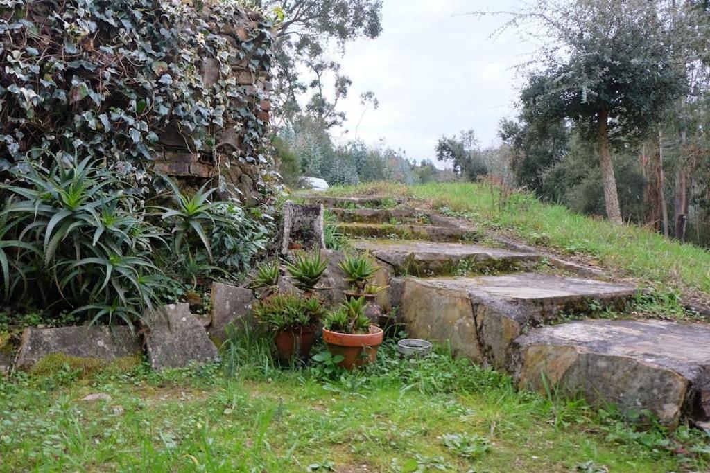 Вілла Casa Da Ruiva Serra Екстер'єр фото